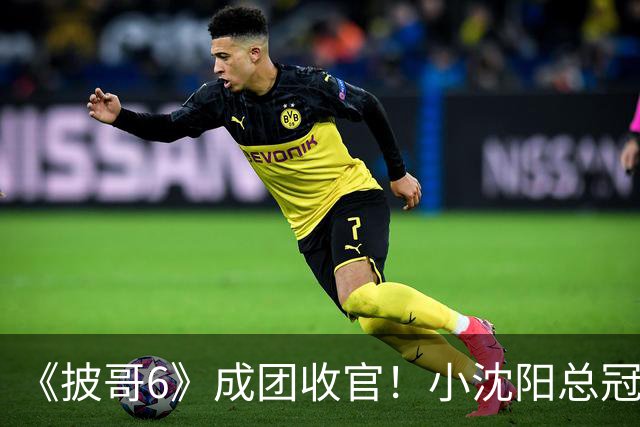 《披哥6》成团收官！小沈阳总冠军，孙楠X-Leader，满江卡位，4人没成团