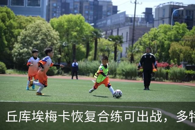 丘库埃梅卡恢复合练可出战，多特门将迈尔因病存疑